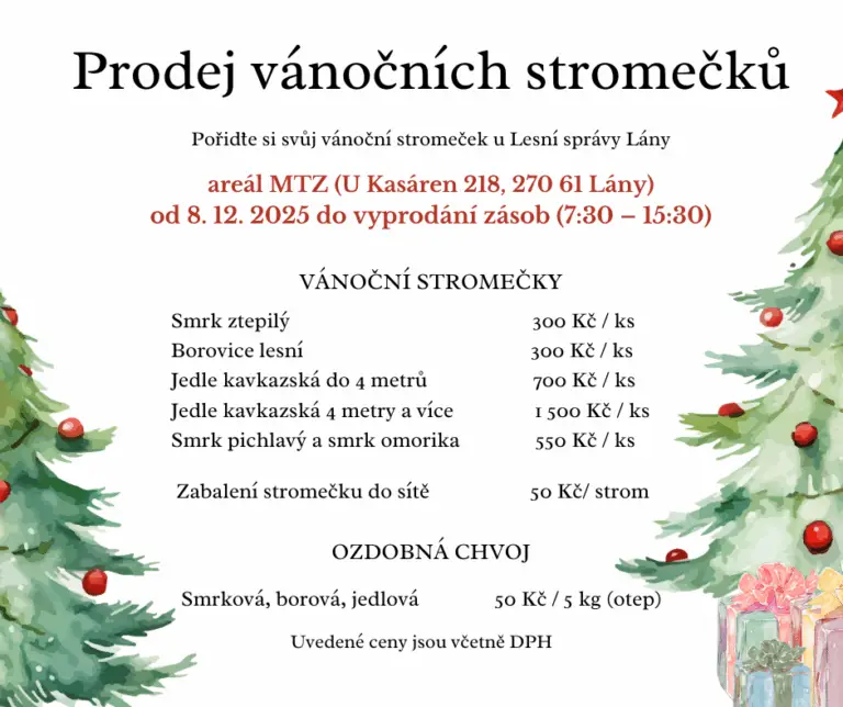 Prodej vánočních stromečků