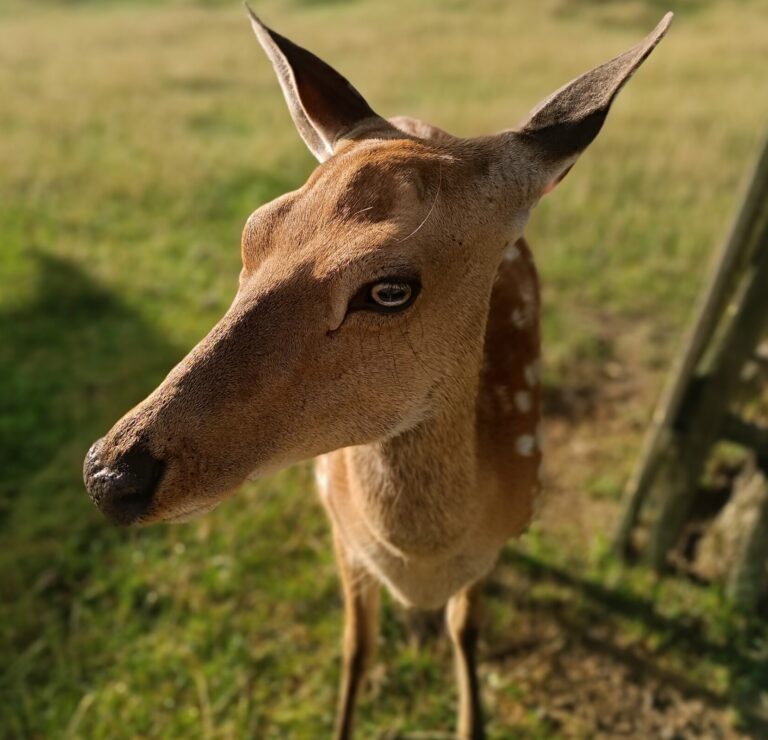 Změna otevírací doby v Demonstrační obůrce
